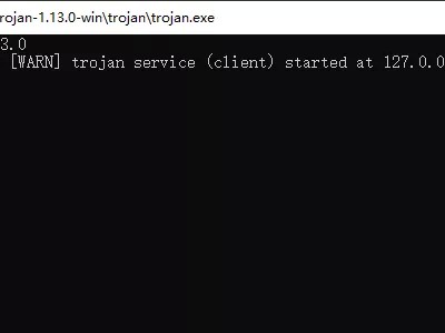 Debian 10 系统免域名 Trojan 使用教程