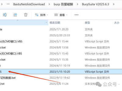 新版BurpSuite v2025.6.3汉化版,附激活教程