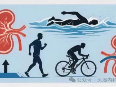 运动对尿酸的双刃剑效应——关键在代谢机制！