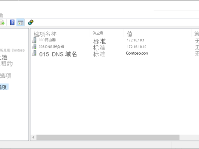 配置 DHCP 选项