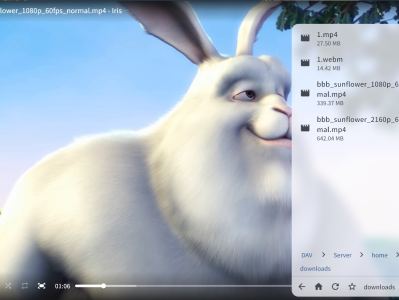Iris – 开源轻量级视频播放器，支持本地文件和 WebDAV[Win/Android]