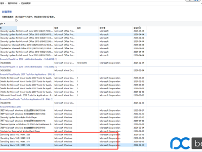 求助控制面板里的servicing stack开头的补丁怎么可以卸载