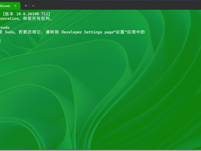 体验 Sudo for Windows