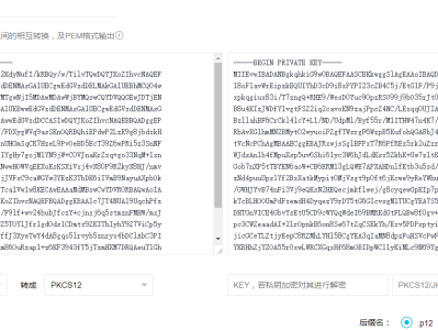 PEM、PKCS12、JKS格式证书相互转换，在线合成