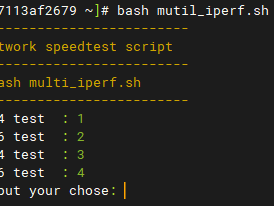 Fenei multi-interface iperf3 script