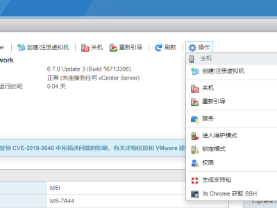 esxi 6.7 u3 单显卡直通 win 10   svga.present