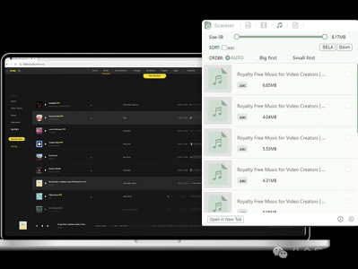 一键下载网页中的图片、视频、音频、文档等资源｜全能浏览器资源嗅探神器