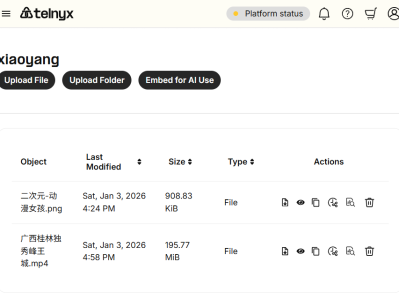 Telnyx 免费10GB对象存储，但是只能私人存储桶使用