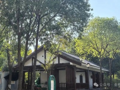 为什么农村建房不允许建地下室？