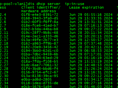 无线AC DHCP Server功能，获取到的mac比正常的会多2个数字，客户端的MAC地址显示比正常的多了两位,