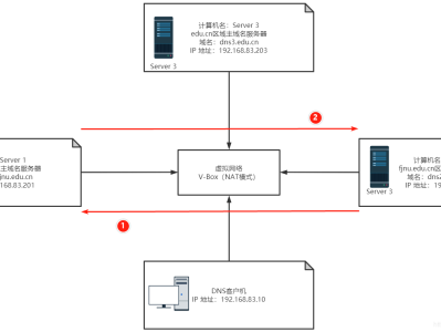 【Windows Server 2019】DNS服务器的配置与管理——主、辅域名服务器