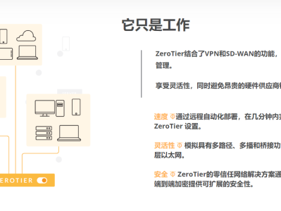 使用ZeroTier快速组建SD-WAN网络，自行搭建Moon月亮服务器 