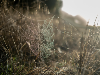 我面试了 N 家分布式存储公司,反复被问这 3 个问题