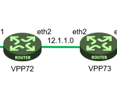 VPP配置指南：NAT“三板斧”