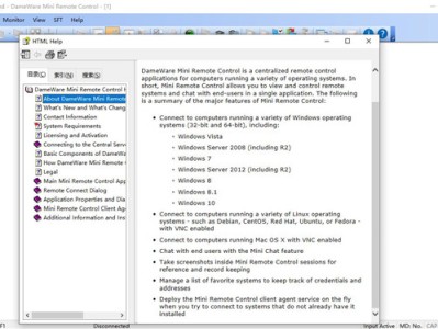 DameWare迷你远程控制汉化破解版 v12.1.096