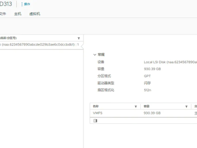 删除 VMware vCenter 中正在使用的空数据存储