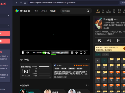 解锁所有国内媒体流的钥匙 AudioVisual 