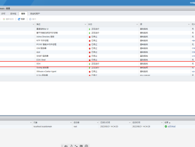 vmware esxi 7 直通GPU配置