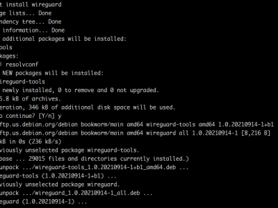 Debian 系统安装 WireGuard VPN 服务器及 WireGuard-UI