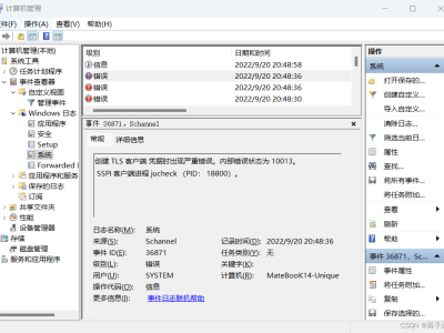 创建TLS客户端凭据时发生严重错误，内部错误状态为10013