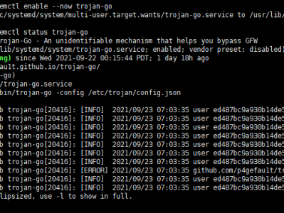 Trojan-go 使用教程