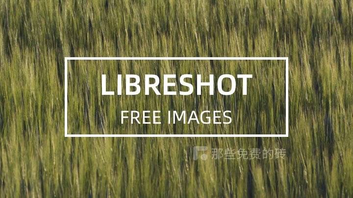 LibreShot - 小众的摄影照片下载网站，所有照片基于 CC0 协议，可免费商用