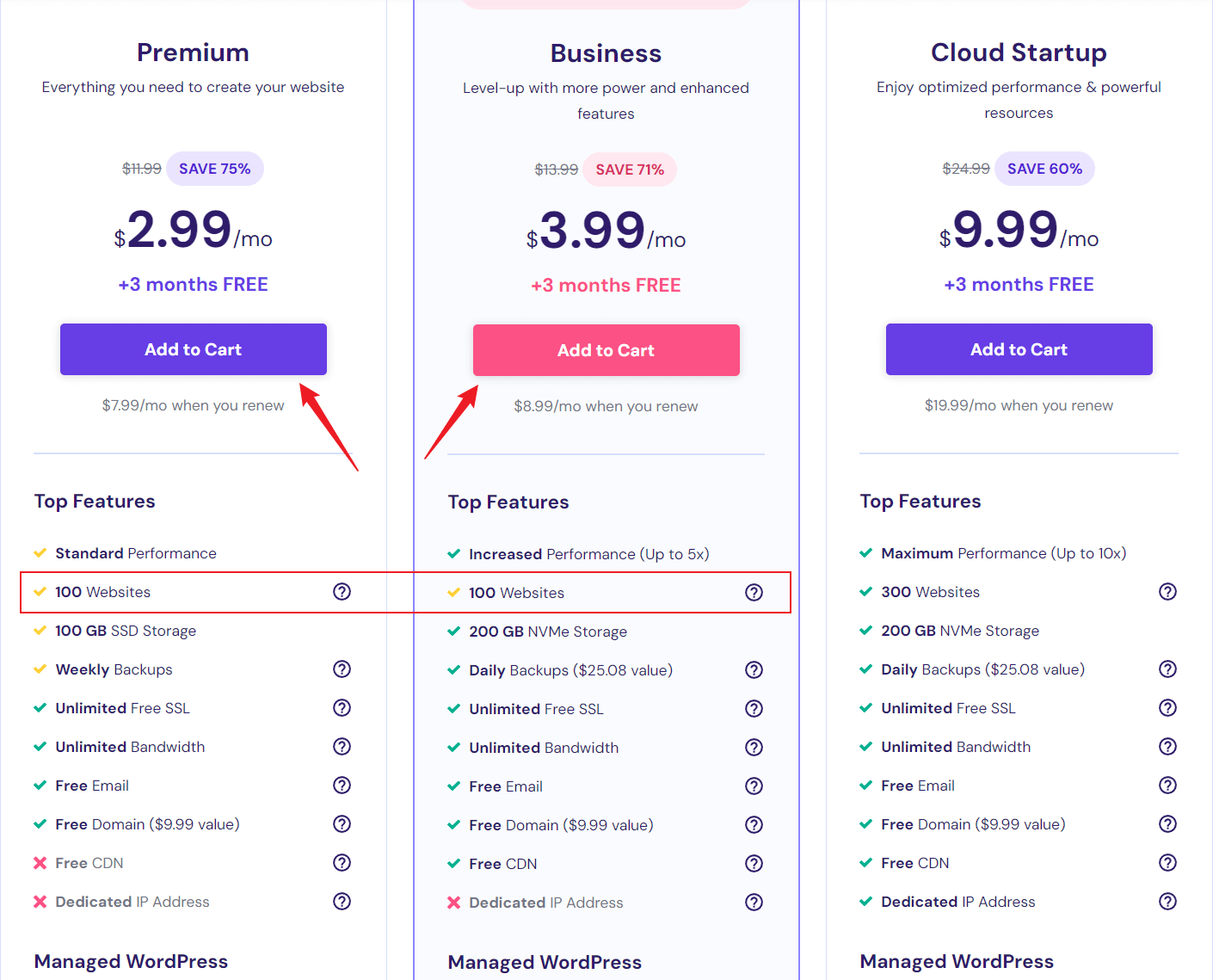 web hosting