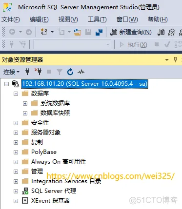 Docker下的SqlServer发布订阅启用_服务器