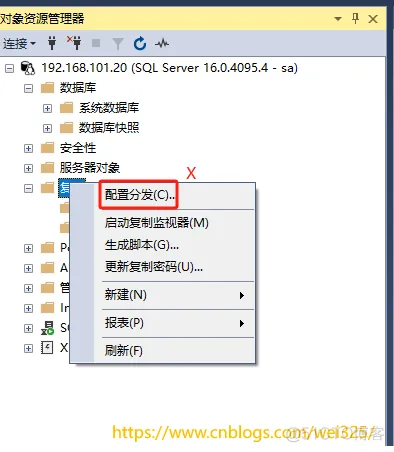 Docker下的SqlServer发布订阅启用_数据库_02