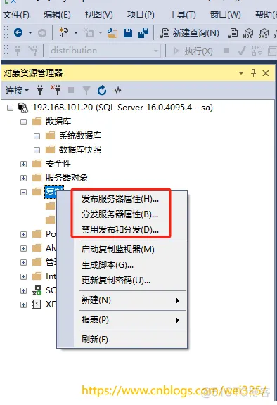 Docker下的SqlServer发布订阅启用_sql_05