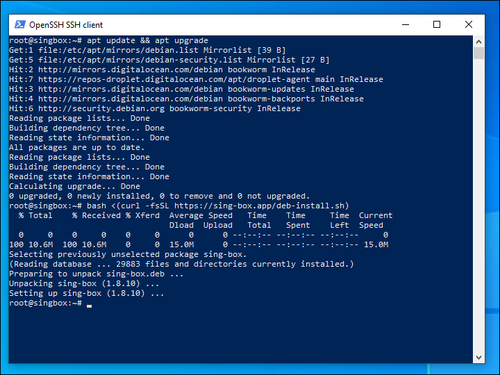 Install the latest version of Sing-Box