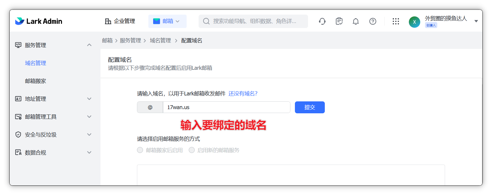 输入待绑定域名的文本框示例
