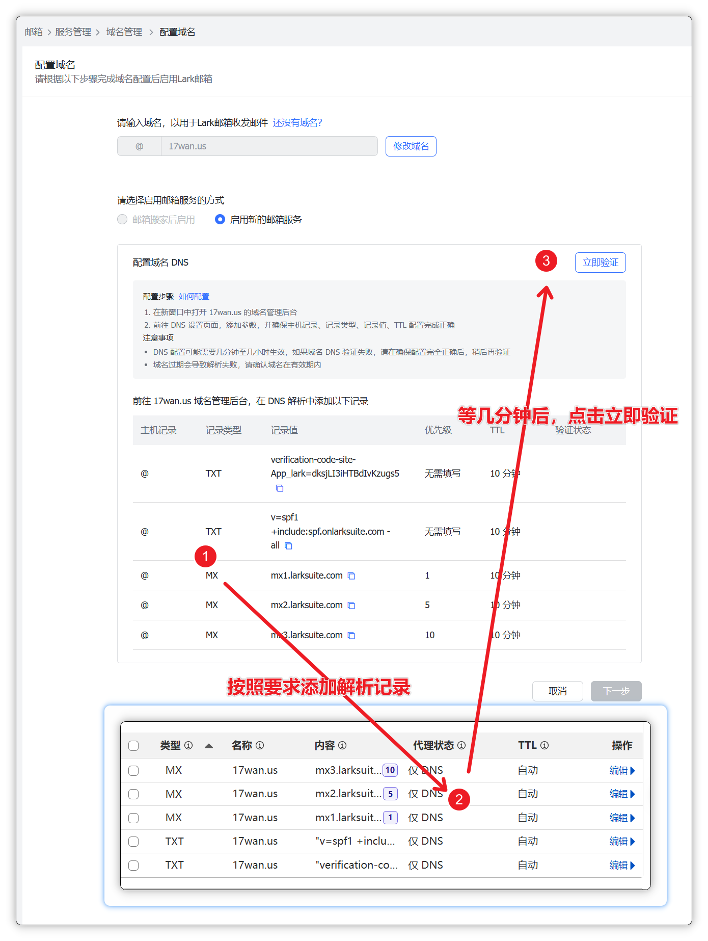 点击立即验证解析结果的按钮